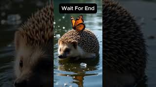 A butterfly and mouse engaging love story #love #butterfly #animals #entertainment#shorts#viralvideo