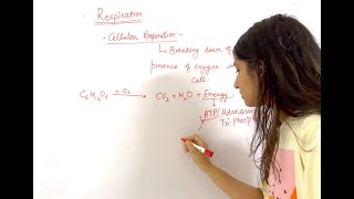 What is Respiration | Type of Respiration | Cellular & Breathing Respiration | Aerobic & Anaerobic