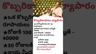 Telugu buisness ideas