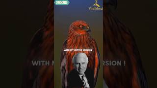Jim rohn comeback |better comeback |inspirational line #inspirtional #motivation #jimrohn