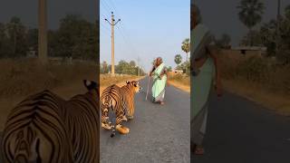 #AIShorts #AIVideo #AIAnimation #AICreator #AIMovie #YouTubeShorts #funny #aistory#aishortsvideo