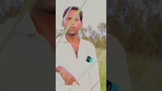 guru chela  Rohit shardhana #viralshorts #trendingshorts