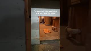 #CatMom #CreativeSolutions #PetFriendly #HomeProject #CatLitterBox #ThriftyLiving #PetSpace #budget