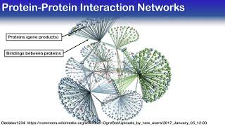 Studying Aging in Dynamic Protein-Protein Networks