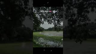 যাদের নামাজ পড়ার সময় দুনিয়াবি চিন্তা আসে ভিডিওটা তাদের জন্য #namaz #namaz #islamicvideo 