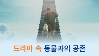 [공존] 드라마 속 동물과의 공존 / 동물자유연대