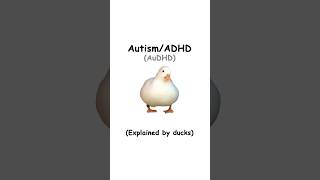 AuDHD (explained by ducks)