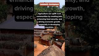 🏡 Community Development: The Heart of Sustainable Agriculture 🌱