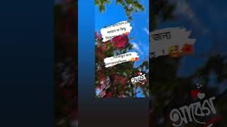New Video #bangla_tik_tok #trending #tiktokvideo #bangladubbedmovie #bangladubbedtamilmovie #দৃশ্য