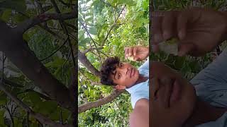 40🍐 feat unchai per chakkar#amrud volg#viral short#white shirt#trending YouTube video#tiktok wapas