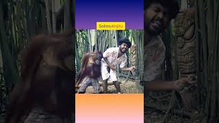 Soliya mutijitan | Vj siddhu vlogs | Thug life | TTF | Irfan | Motivation | comedy | fun