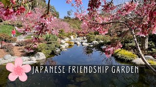 Explore The Tranquil Japanese Friendship Garden In Balboa Park