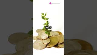 Interactive Financial Polls: Investing on a budget
