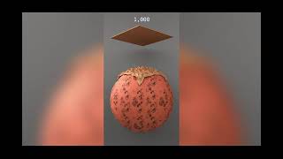 3D Soft Satisfying Simulaions Complation