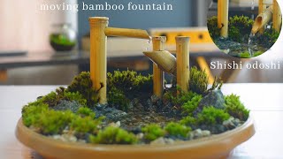 diy zen style terrarium with pond and moving bamboo fountain | diy shishi odoshi