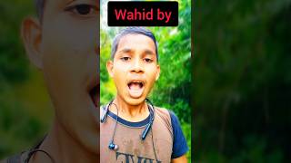 ওয়াহিদ আরিয়ান ভাইয়ের ভালোবাসা