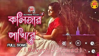 কলিজার পাখিরে | তুই বুকের মাজে তির মারিয়া জাইড়া জাইসনা রে | Kolijar Pakhi | Bangla New Song 2025