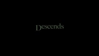 Pierre Massé - Descends