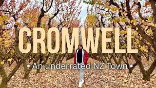 Central Otago vibes | Exploring Cromwell, an underrated small town in NZ
