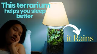 I Made a Rainning Lamp Terrarium That Helps You Sleep better, Here's how! Rainfall terrarium