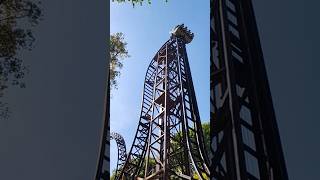 Can you do this Freefall Scary Rollercoaster 🎢 at Duinrell? #familyfun #rollercoaster #rides