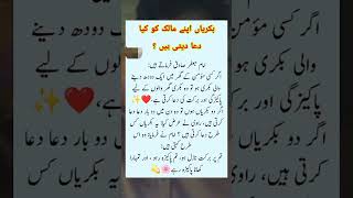 Beautiful Words #dua#beautiful  #islamicvideo #islamicquotes #muslimcontent #islamicreminder #love