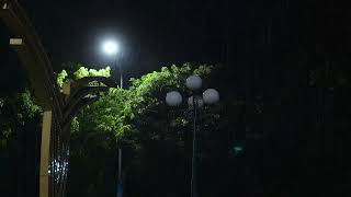 Night Rain in the City Park – Calm Night Sounds for Sleep