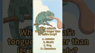 # shorts # MCQ with answer for hot seat oriented.# for Olympiad # Different level of gk compettiton.