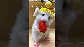 2 декабря 2023 г.