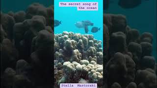 The secret song of the ocean(short)- Stella Mastoraki -Relaxing video