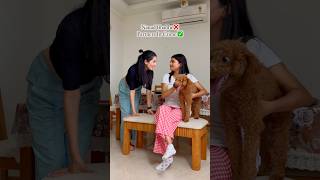 Nanad Bhabhi ❌ Crime Partners ✅ #neetubisht #funny #lakhneet #ytshorts #trending #viral