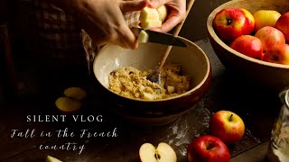 Silent vlog, country life in France, cosy baking on a rainy day, hazelnuts and apple scones 🍂🍎🌧️