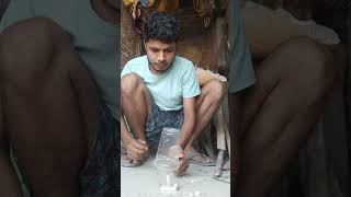 candal glash expiement shorts video #experimnent #experiment #shortvideo #candal #experimnent