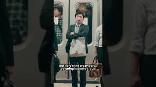 why are you yawming #trendingnow2025  #informationalvedio #science #yawnigbenefits