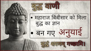 Buddha Teachings | 07 | When Buddha gave ALL his teachings to King Bimbasara | Buddha Serial