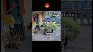 syllabus of Gs ssc upsc #ssccgl2023exam #ssccgl22