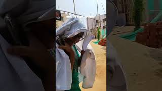 Balance in Medical college 🤌🏻🌝 #mbbs #mbbscollege #yt #fypage #fff #medico #collegelife #vlogs #song