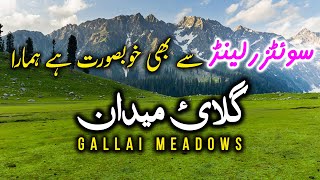 How To Reach Gallai Meadows - Unexplored & Untouch Beauty Of KPK
