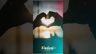 #viral #shortvideo #video #bangla #music #song #salman #salmansha #viralvideo #viralshorts