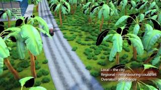 What is the Quality infrastructure: An African SME perspective (NMISA)
