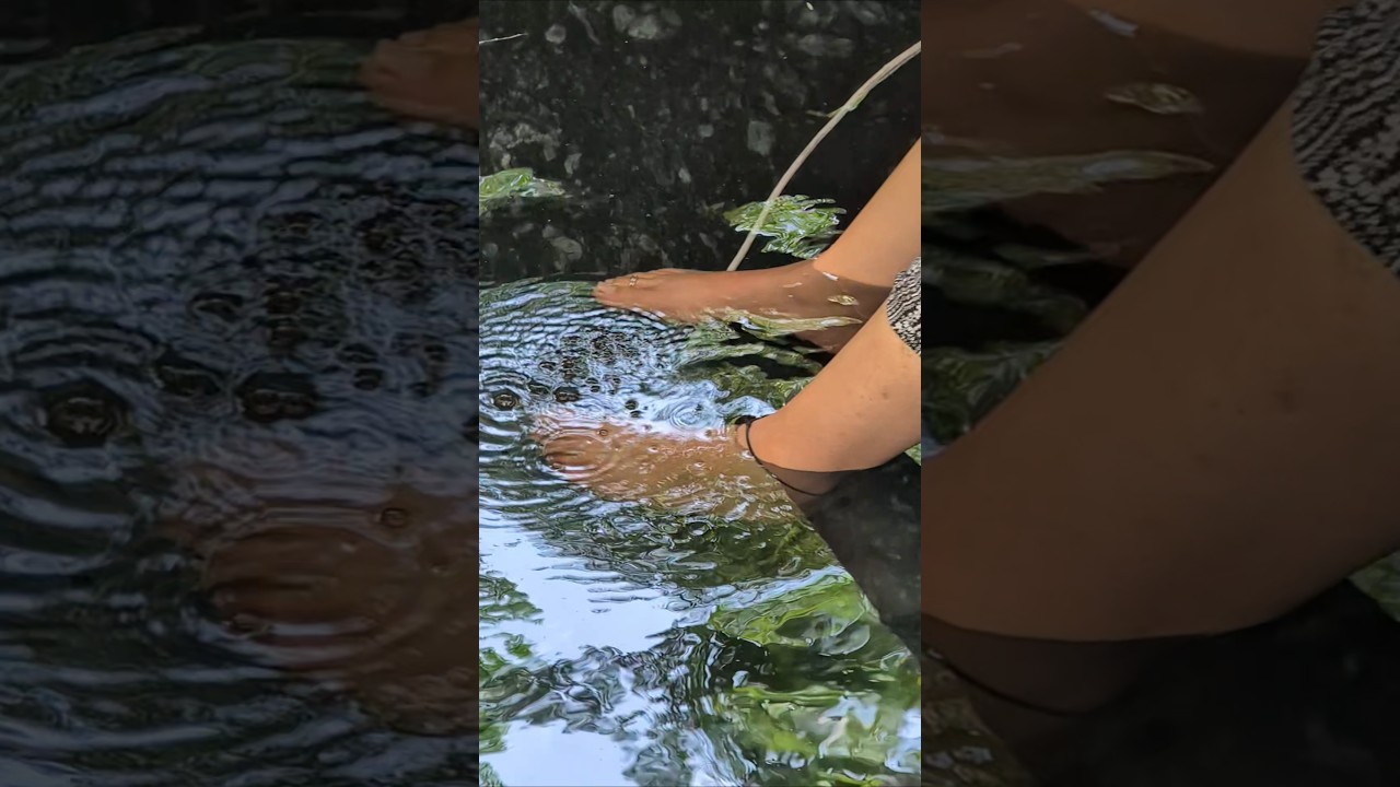 サムネ