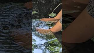 ASMR Fish Spa Pedicure—Most Satisfying Experience Ever!