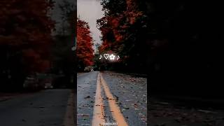 Your eyes got my heart falling for you x Teri nazron ne WhatsApp status | #shorts #lyricsstatus