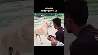 Epic Funny Video 😂😂😂 #shorts #viralshorts #comedy #funnymoments #fails #humor