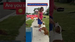バスケットボール犬が怖がりの子供に犬好きを教える