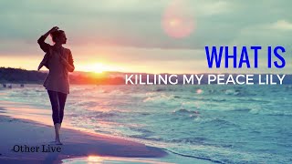 Wayne Dyer: What is Killing My Peace Lily ( Wayne Dyer Pyschology )