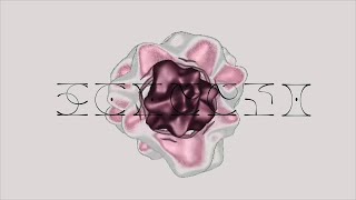 回路 - 原口沙輔【visualizer】