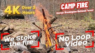 4K Campfire Ambience: Peaceful Crackling Flames in George Washington National Forest 🌲🔥