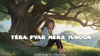 Tera pyar mera junoon love song