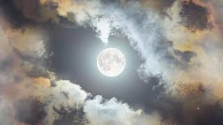 Slow motion music 🎶🎶🎶 meditation music